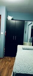 Blk 391 Bukit Batok West Avenue 5 (Bukit Batok), HDB 3 Rooms #443530951